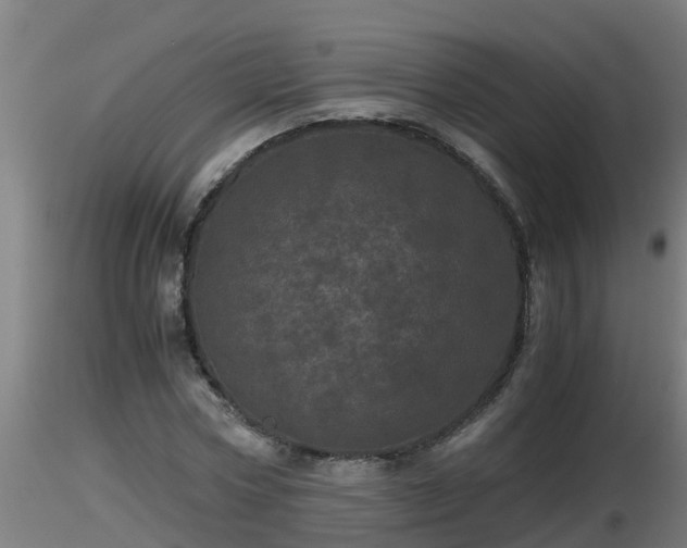 X0000116760778200912241141