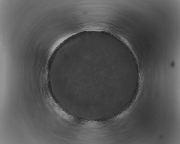 X0000116760779200912241141