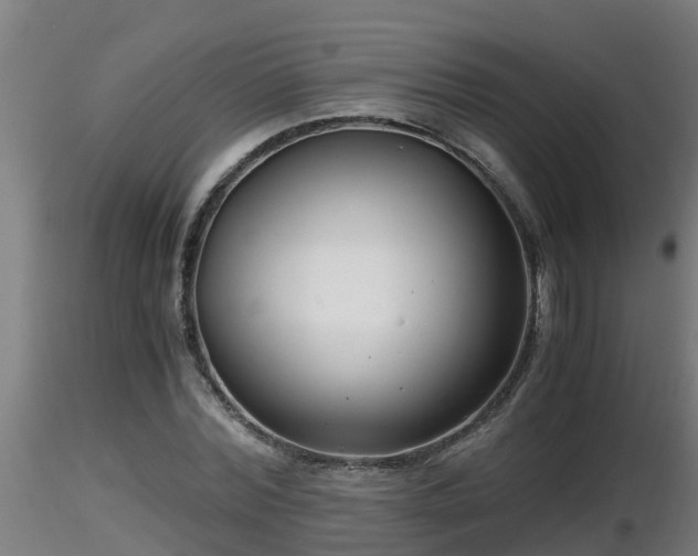 X0000116760780200912241141