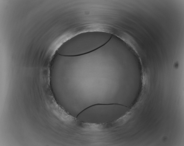 X0000116760781200912241141