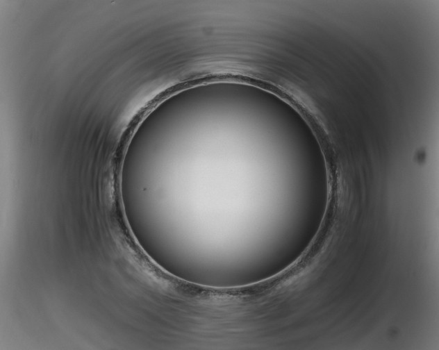 X0000116760782200912241141