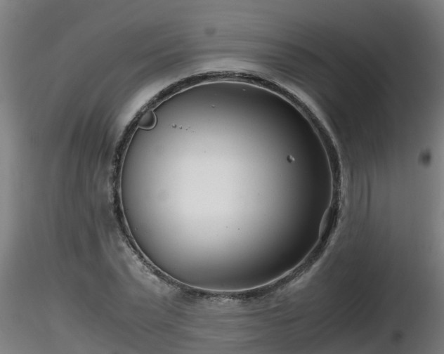 X0000116760783200912241141