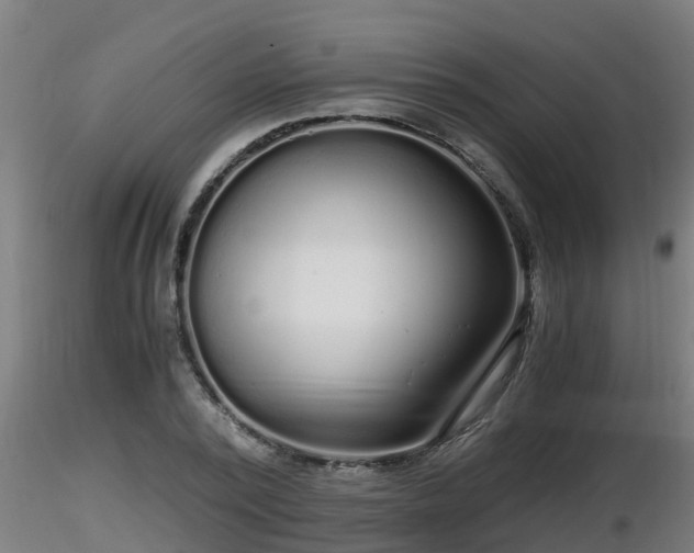 X0000116760784200912241141