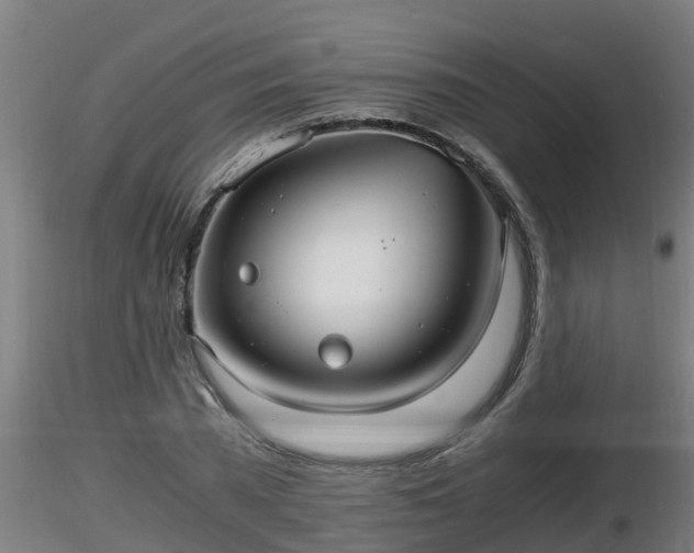 X0000116760785200912241141
