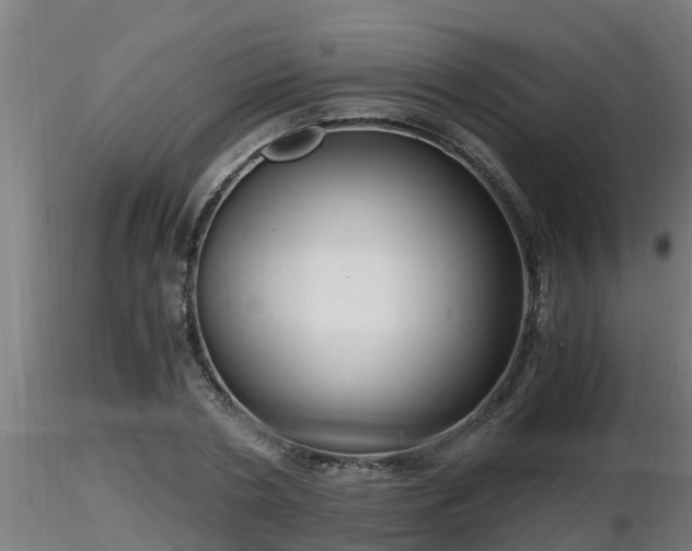X0000116760786200912241141