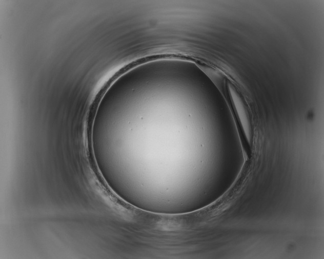 X0000116760788200912241141