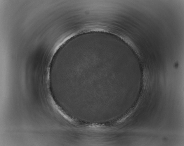 X0000116760790200912241141