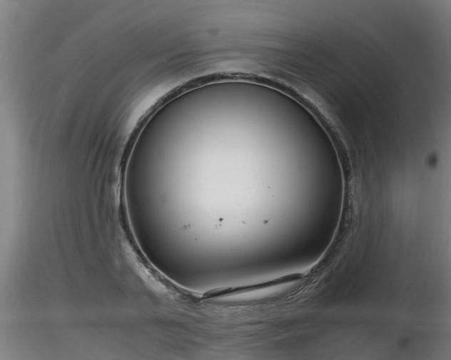 X0000116760791200912241141
