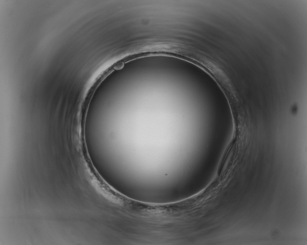 X0000116760792200912241141