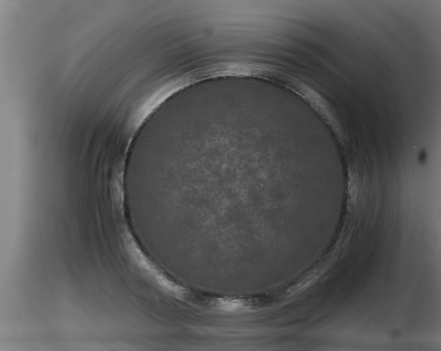 X0000116760794200912241141