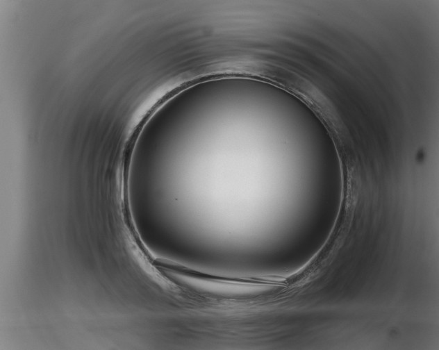 X0000116760796200912241141