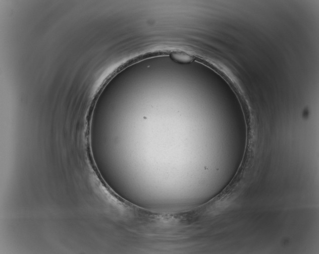 X0000116760799200912241141