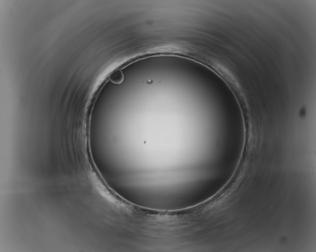 X0000116760800200912241141