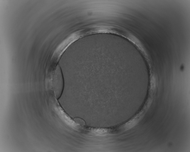 X0000116760801200912241141