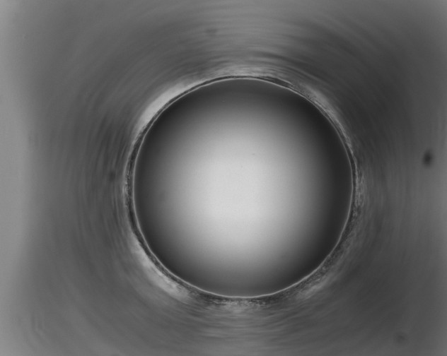 X0000116760803200912241141