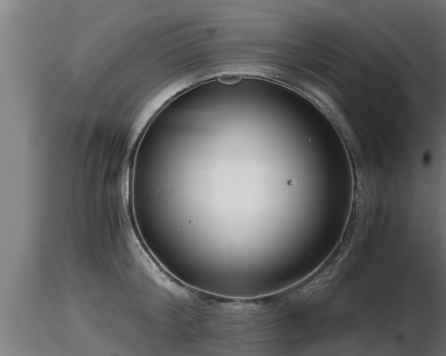 X0000116760804200912241141