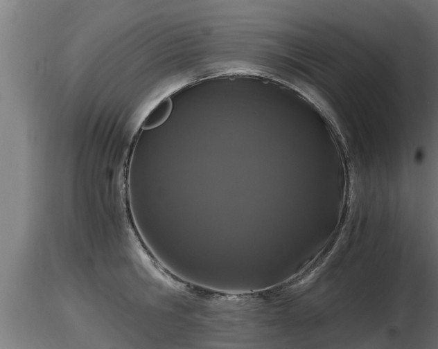 X0000116760806200912241141