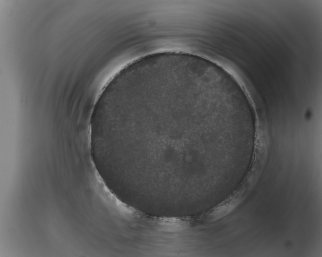 X0000116760807200912241141