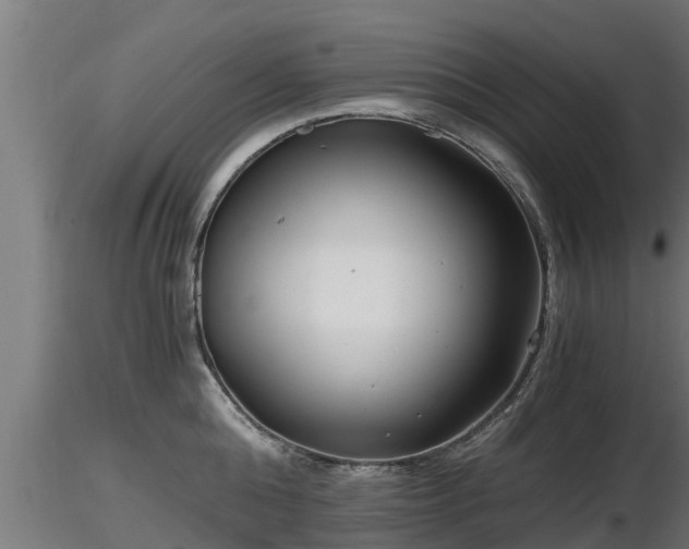 X0000116760808200912241141