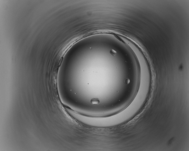 X0000116760809200912241141