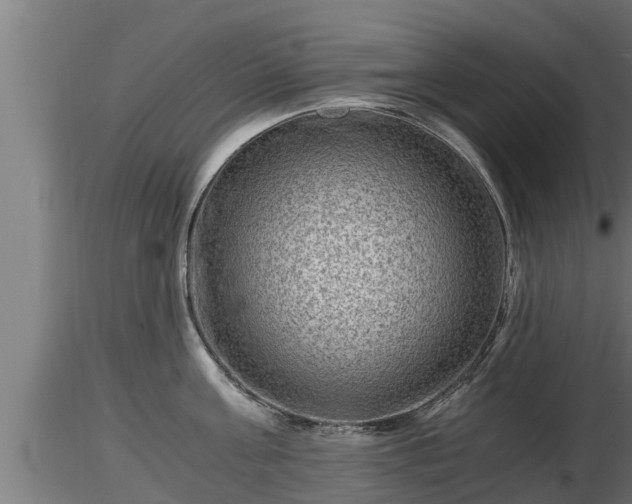 X0000116760811200912241141
