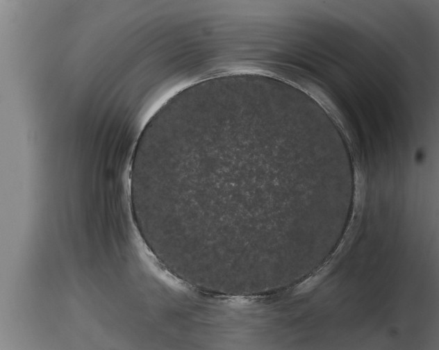 X0000116760814200912241141