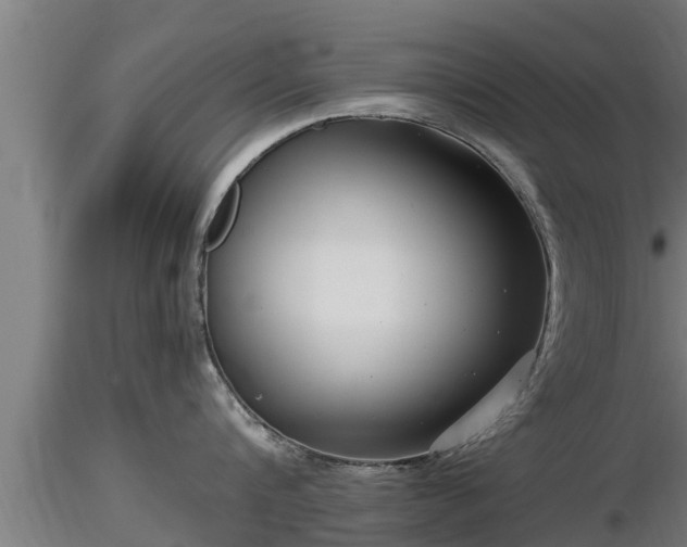 X0000116760816200912241141