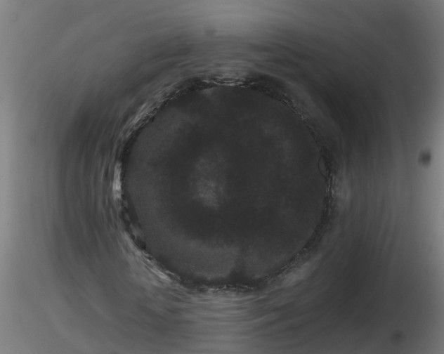 X0000116760818200912241140