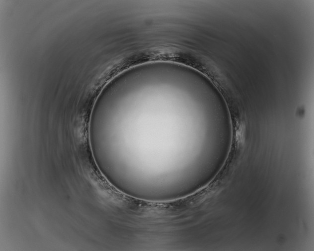 X0000116760819200912241140