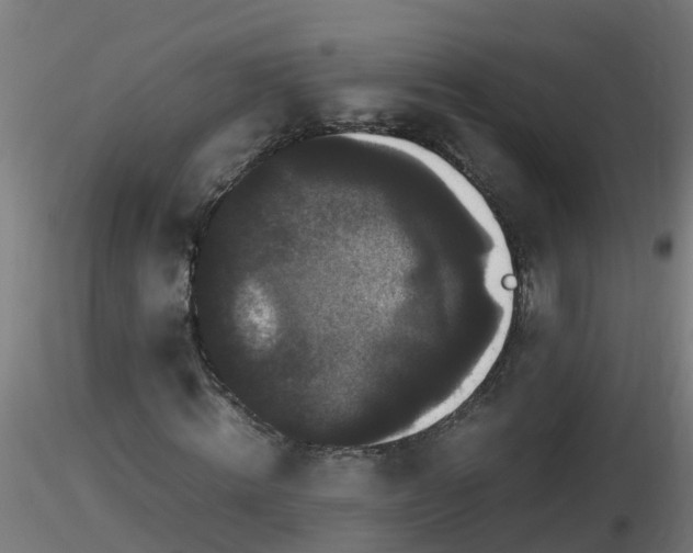 X0000116760820200912241140