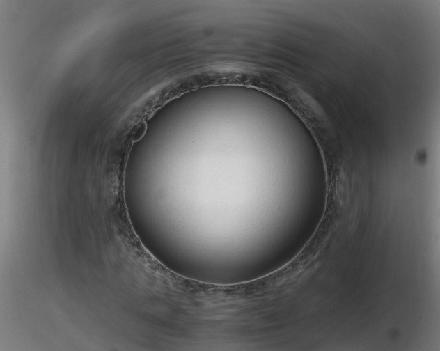 X0000116760821200912241140