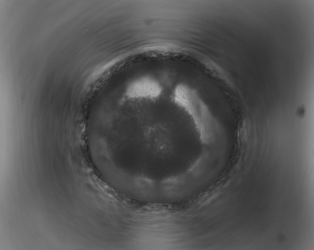X0000116760822200912241140