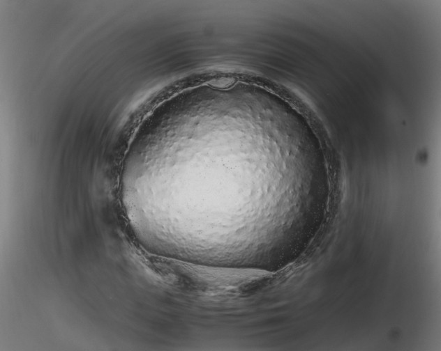 X0000116760823200912241140