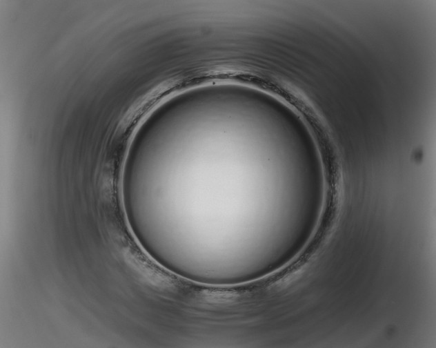 X0000116760825200912241140