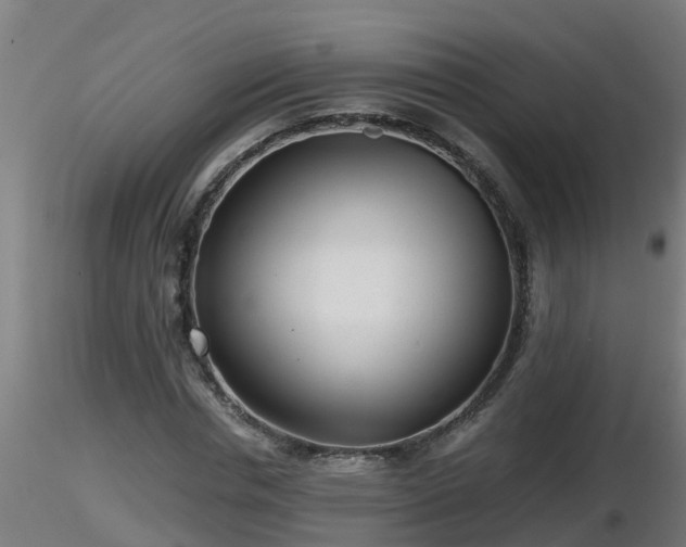 X0000116760826200912241140
