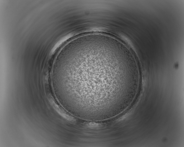 X0000116760827200912241140