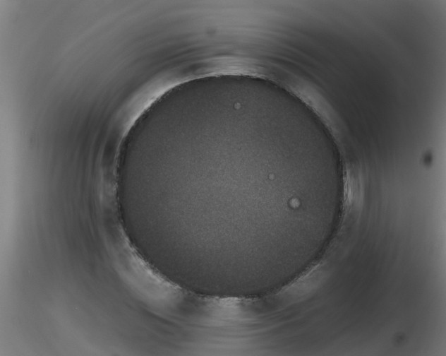 X0000116760828200912241140