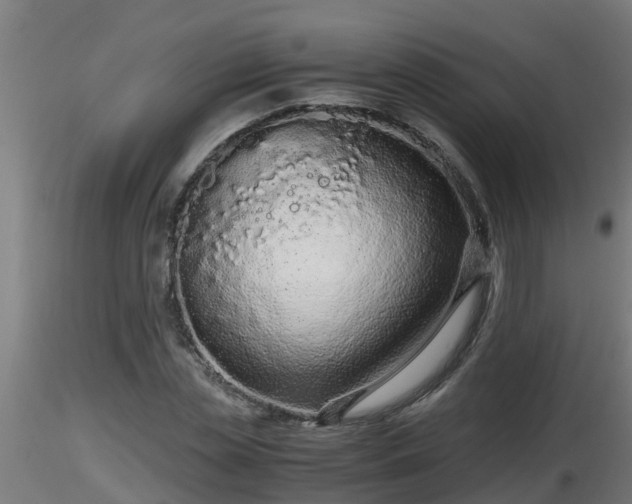 X0000116760829200912241140