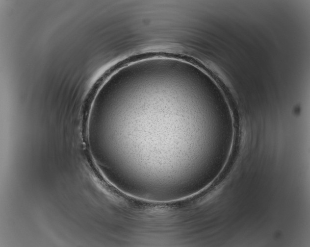 X0000116760830200912241140