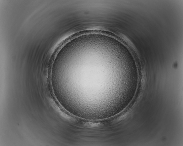 X0000116760831200912241140