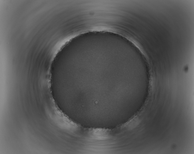 X0000116760832200912241141