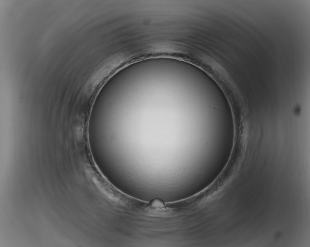 X0000116760833200912241141