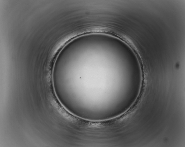 X0000116760835200912241141