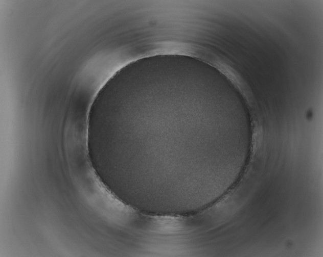 X0000116760836200912241141
