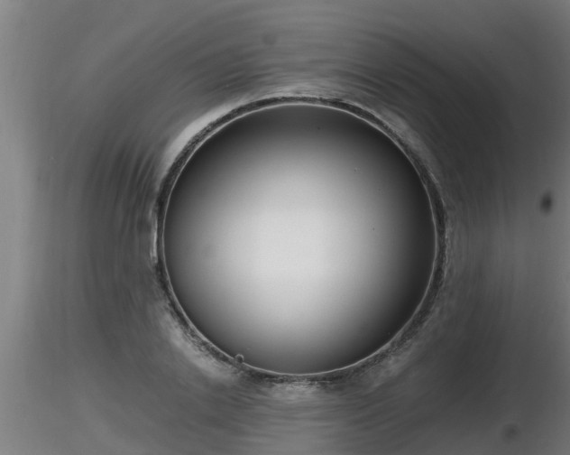 X0000116760838200912241141