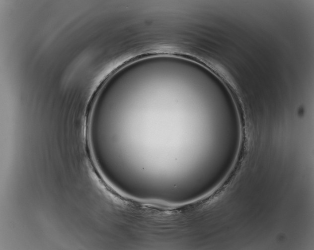 X0000116760839200912241141