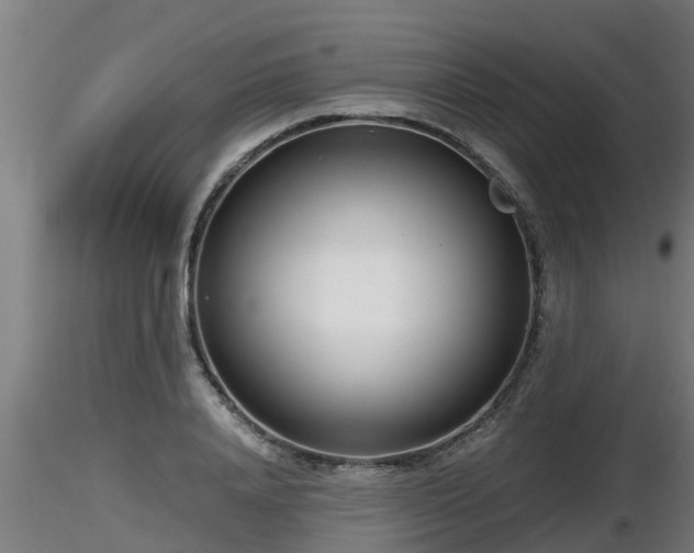 X0000116760840200912241141