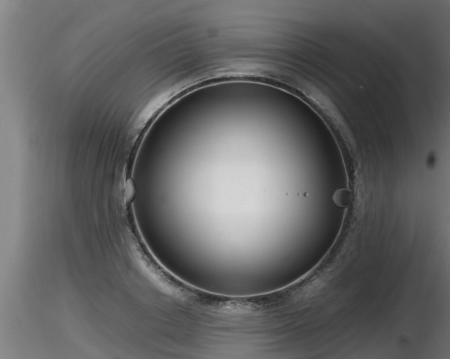 X0000116760842200912241141