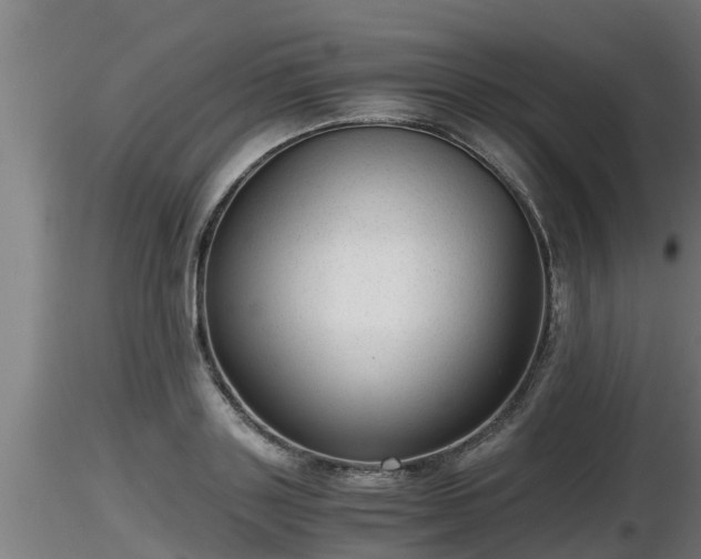 X0000116760843200912241141