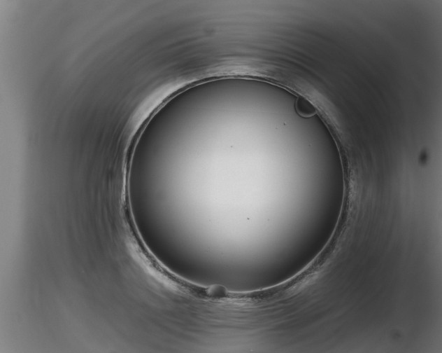 X0000116760844200912241141